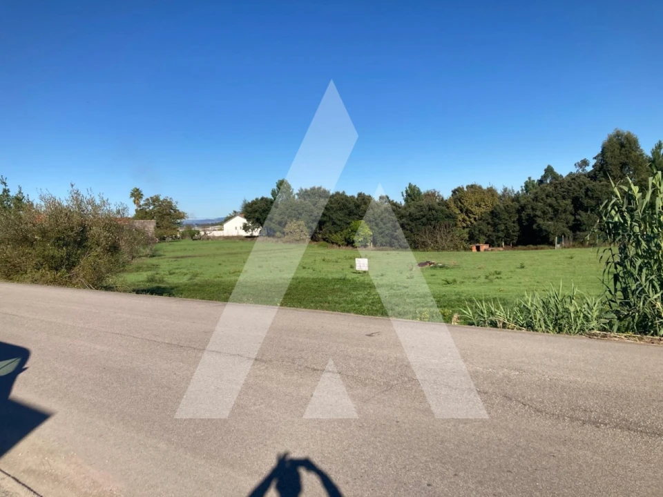 Terreno para Venda em Oliveira do Bairro Foto 3