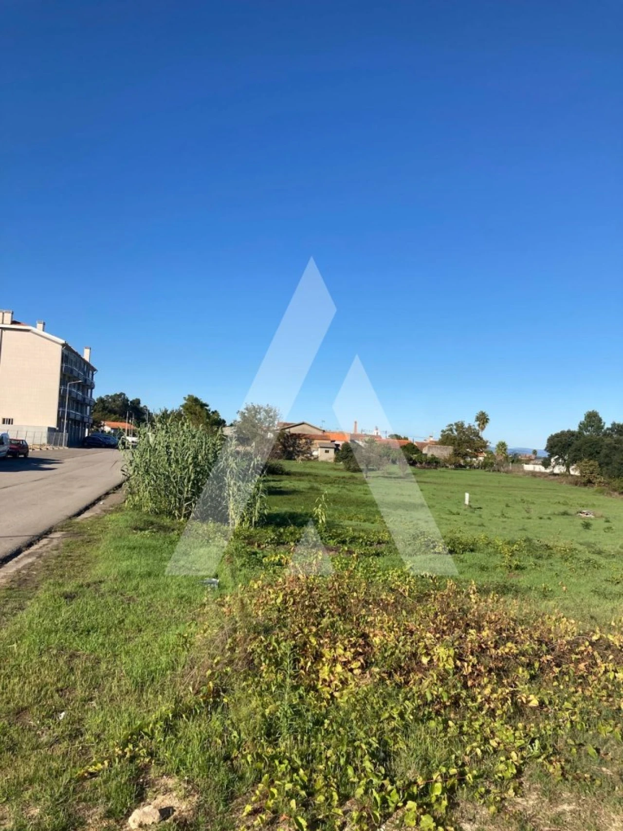 Terreno para Venda em Oliveira do Bairro Foto 5