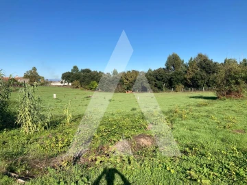 Terreno para Venda em Oliveira do Bairro