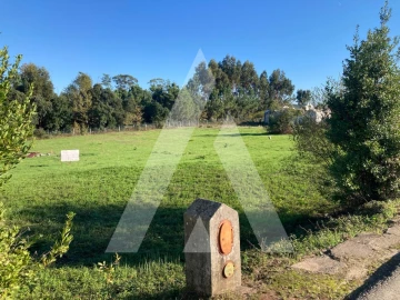 Terreno para Venda em Oliveira do Bairro