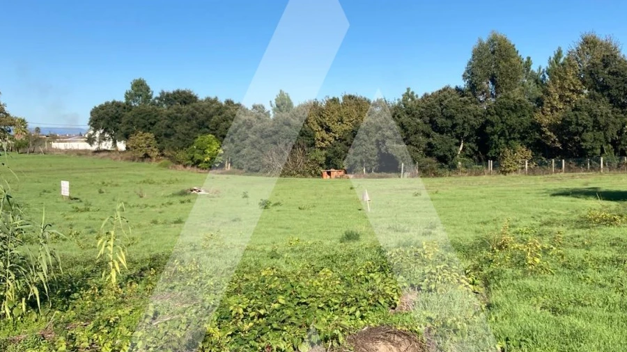 Terreno para Venda em Oliveira do Bairro