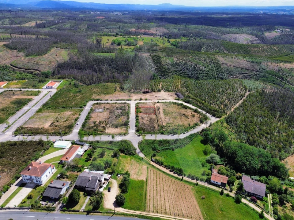 Terreno para Venda em Valongo do Vouga Foto 1