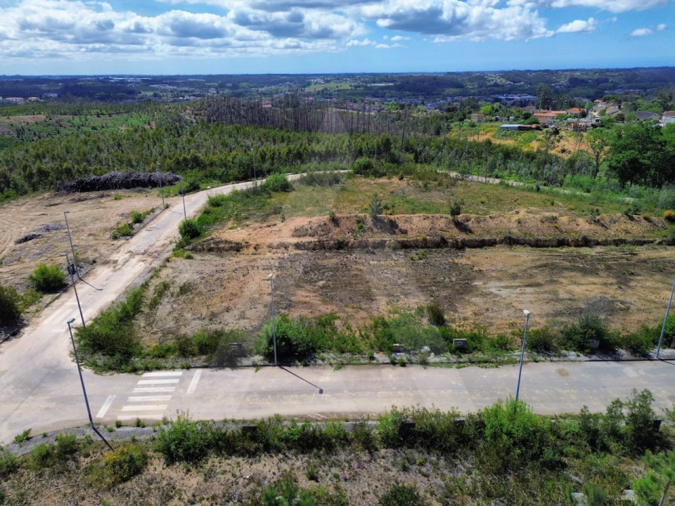 Terreno para Venda em Valongo do Vouga Foto 5