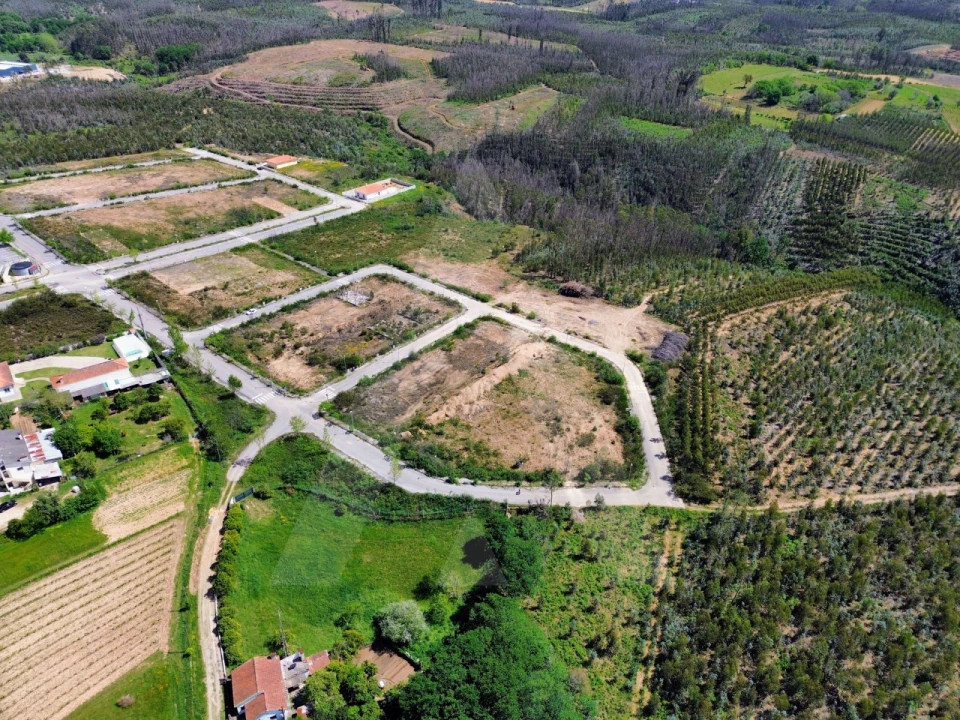 Terreno para Venda em Valongo do Vouga Foto 4