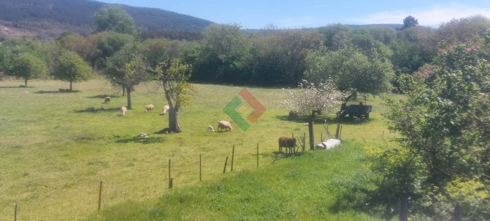Quinta T4 para Venda em São Salvador da Aramenha Foto 7