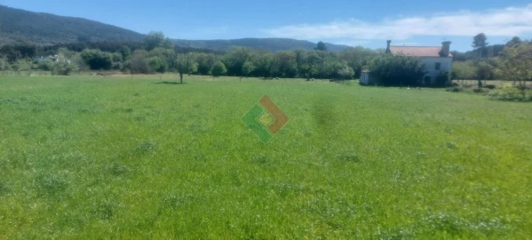 Quinta T4 para Venda em São Salvador da Aramenha