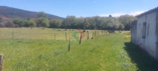 Quinta T4 para Venda em São Salvador da Aramenha