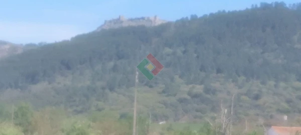 Quinta T4 para Venda em São Salvador da Aramenha