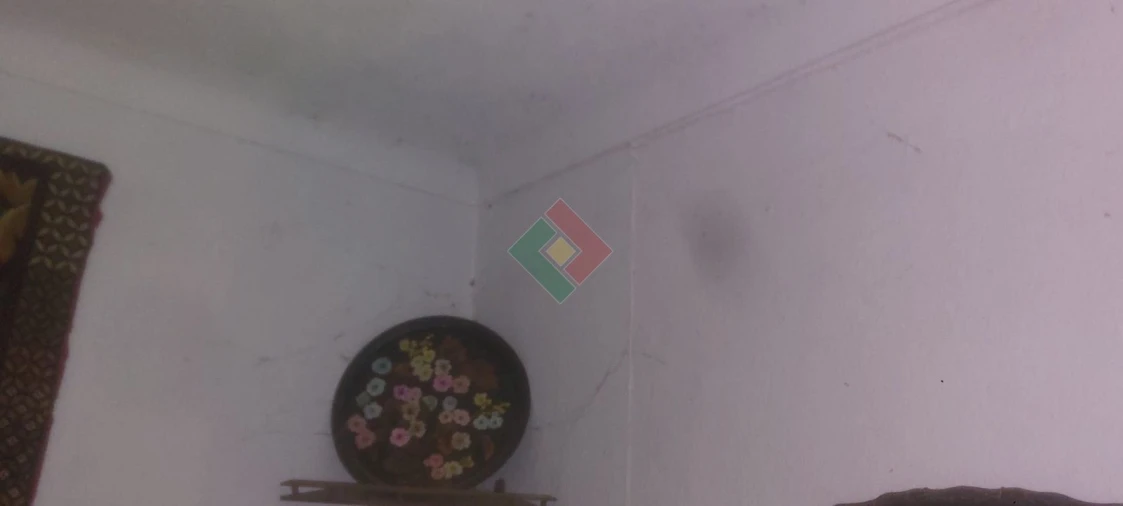 Quinta T4 para Venda em São Salvador da Aramenha Foto 19