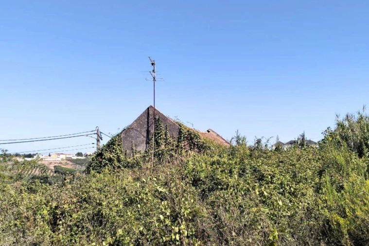 Moradia T3 para Venda em Cadaval e Pêro Moniz Foto 5