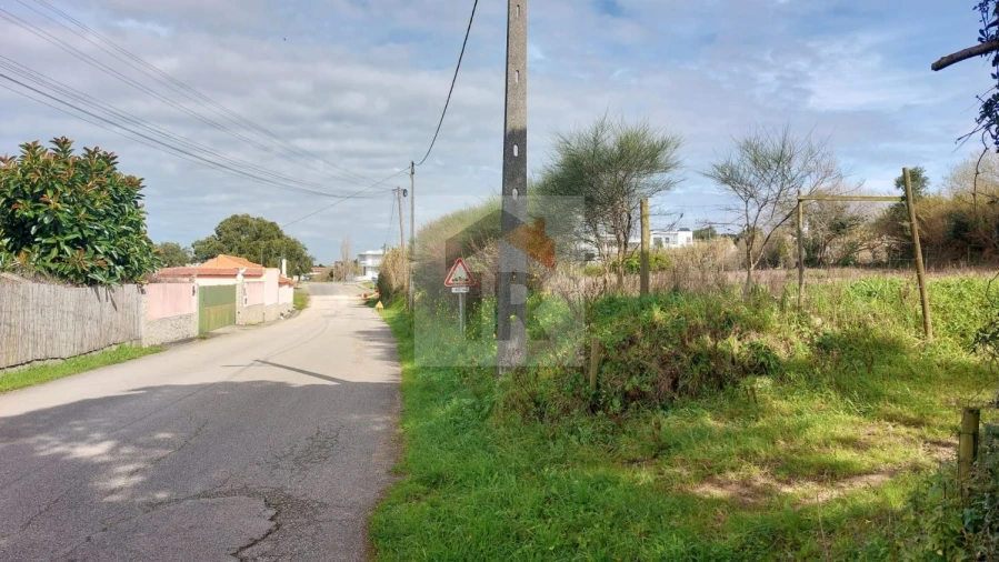 Terreno para Venda em Nossa Senhora do Pópulo, Coto e São Gregório Foto 7