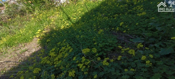 Moradia T1 para Venda em Barbacena e Vila Fernando