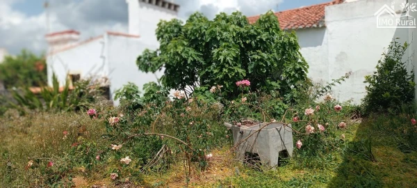 Moradia T1 para Venda em Barbacena e Vila Fernando