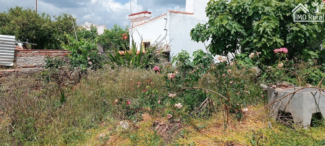 Moradia T1 para Venda em Barbacena e Vila Fernando Foto 13