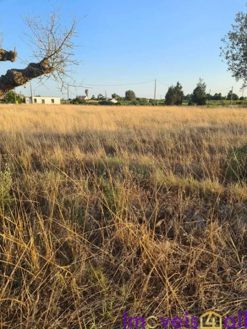 Terreno para Venda em Palmela
