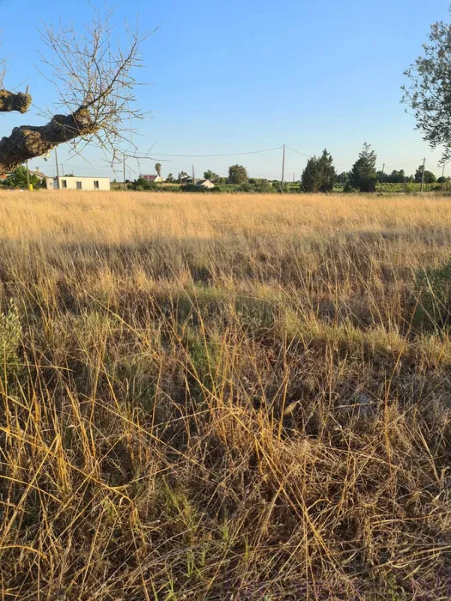 Terreno para Venda em Palmela Foto 3