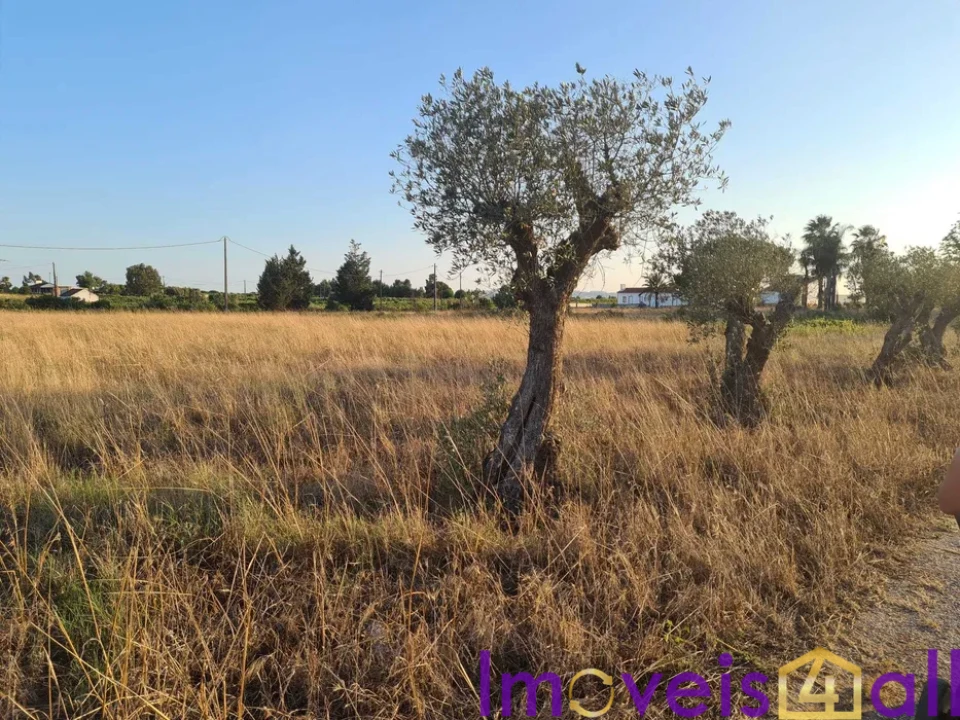 Terreno para Venda em Palmela Foto 1