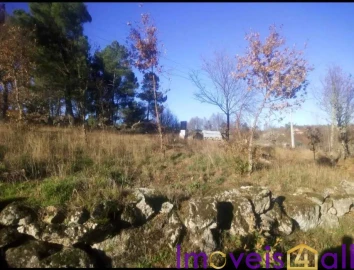 Terreno para Venda em Touro