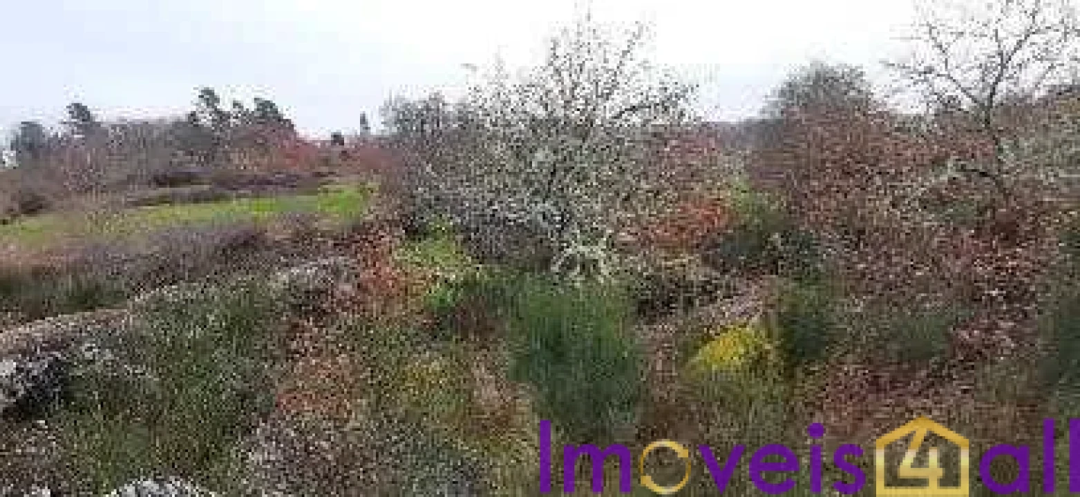 Terreno para Venda em Touro Foto 4