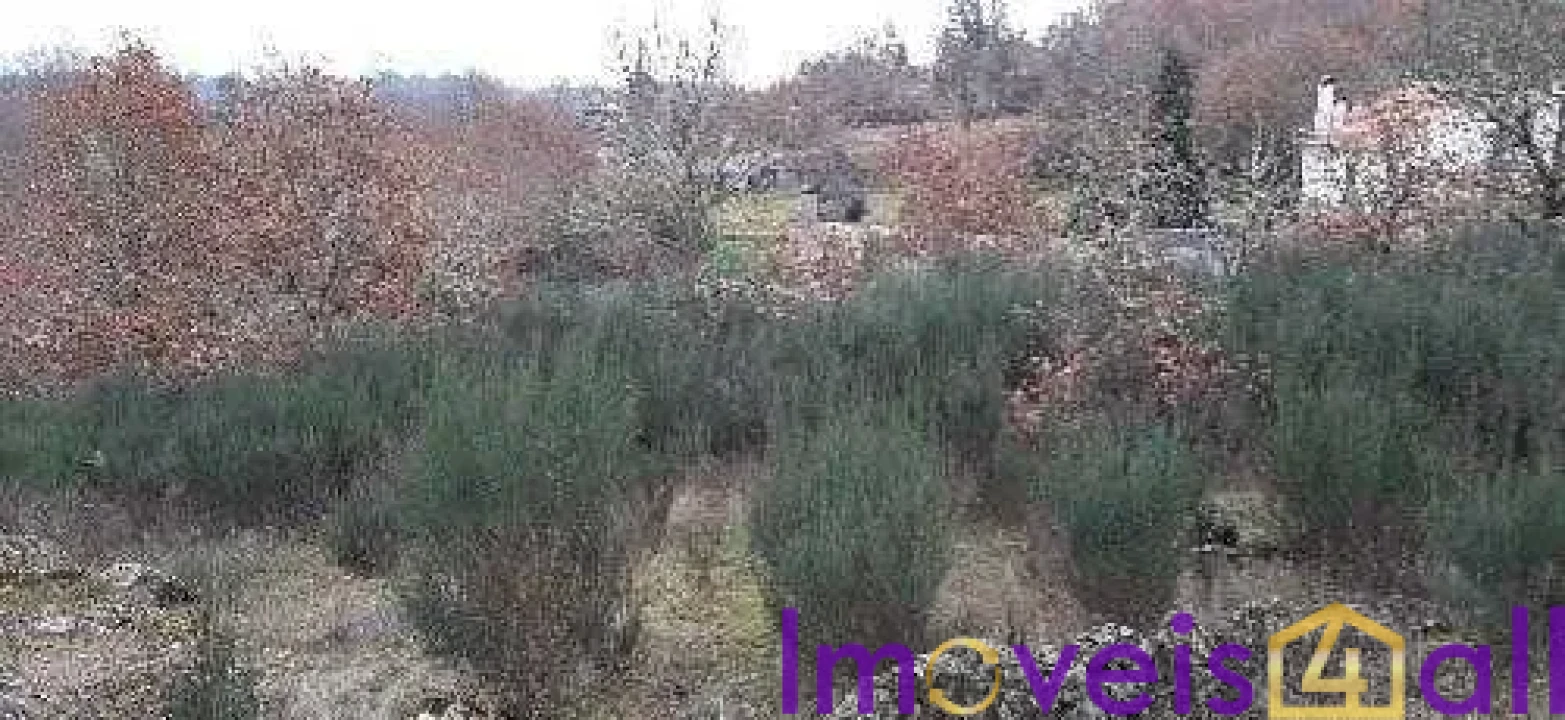 Terreno para Venda em Touro Foto 2