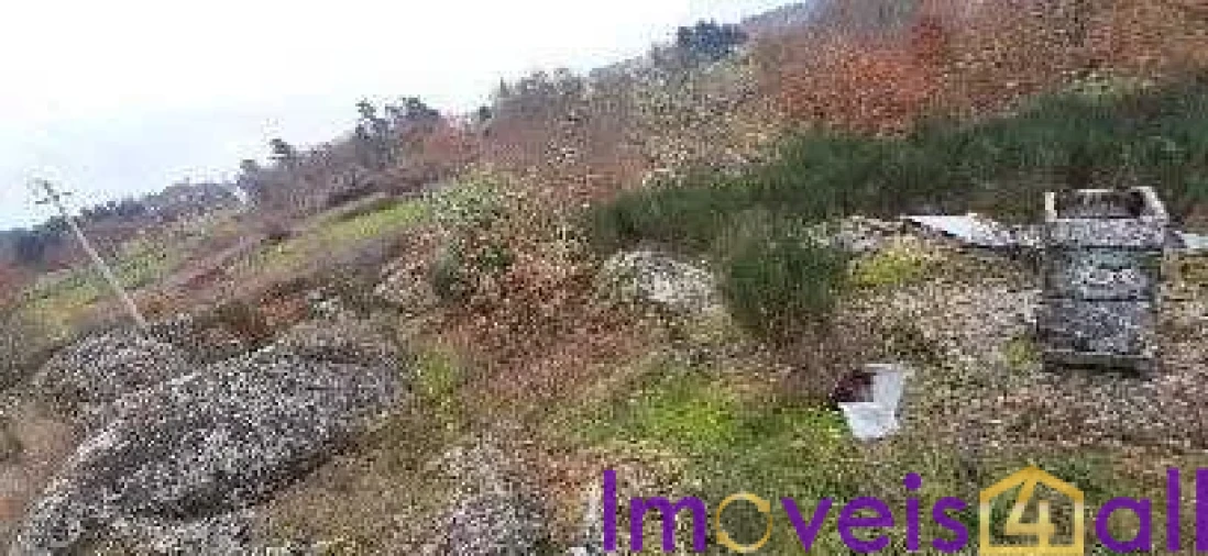 Terreno para Venda em Touro Foto 3