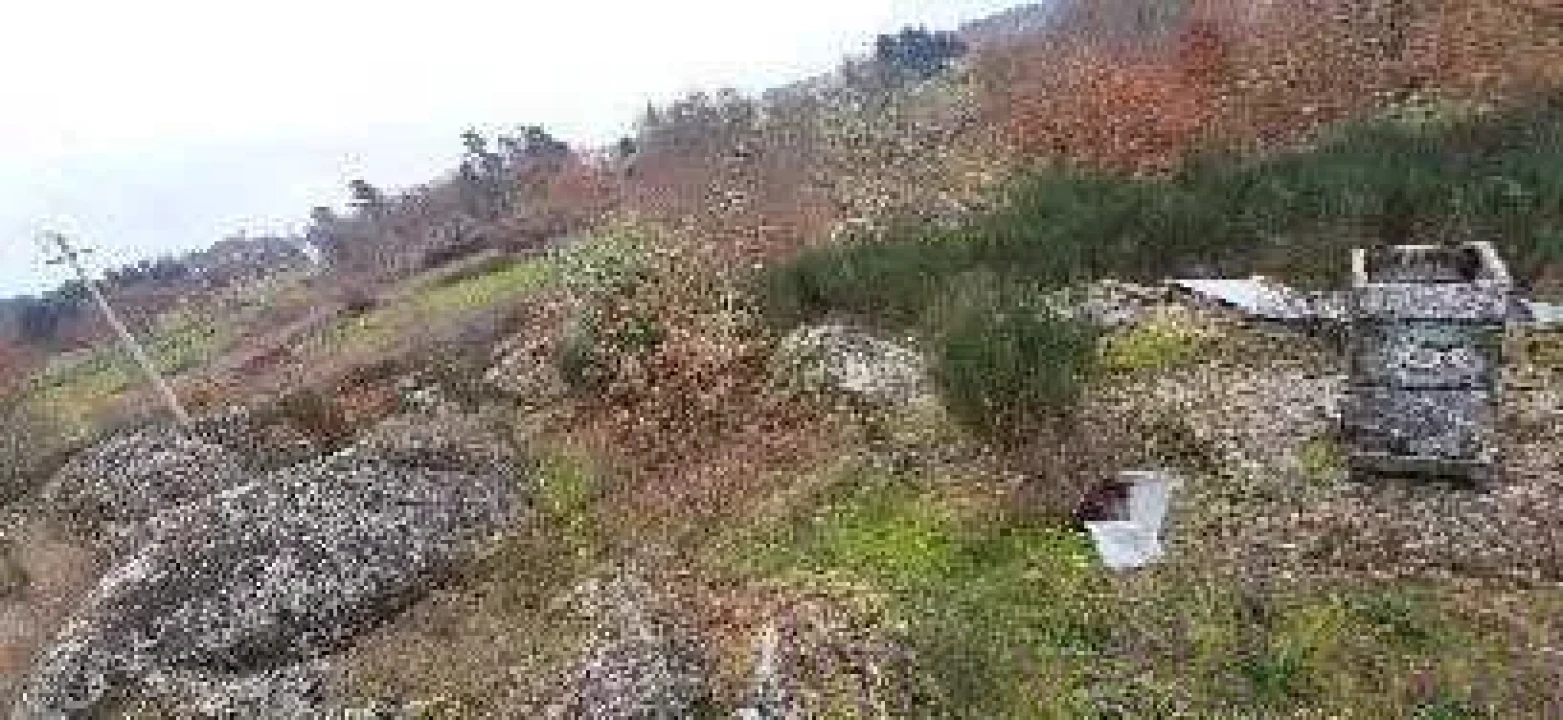 Terreno para Venda em Touro Foto 3