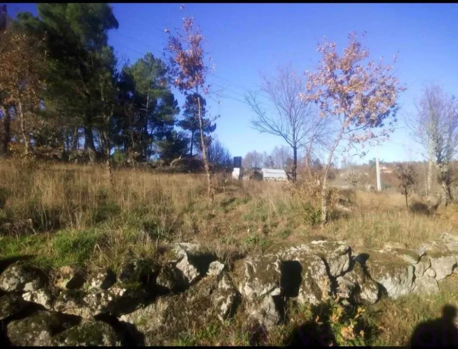 Terreno para Venda em Touro Foto 1