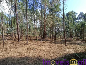 Terreno para Venda em Gandra e Taião