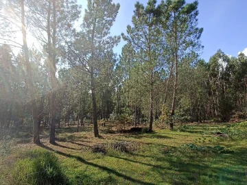 Terreno para Venda em Gandra e Taião