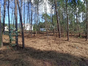 Terreno para Venda em Gandra e Taião