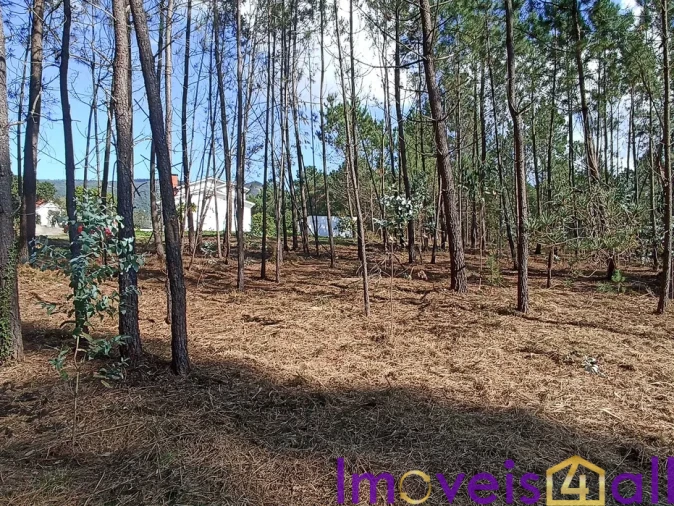 Terreno para Venda em Gandra e Taião Foto 2