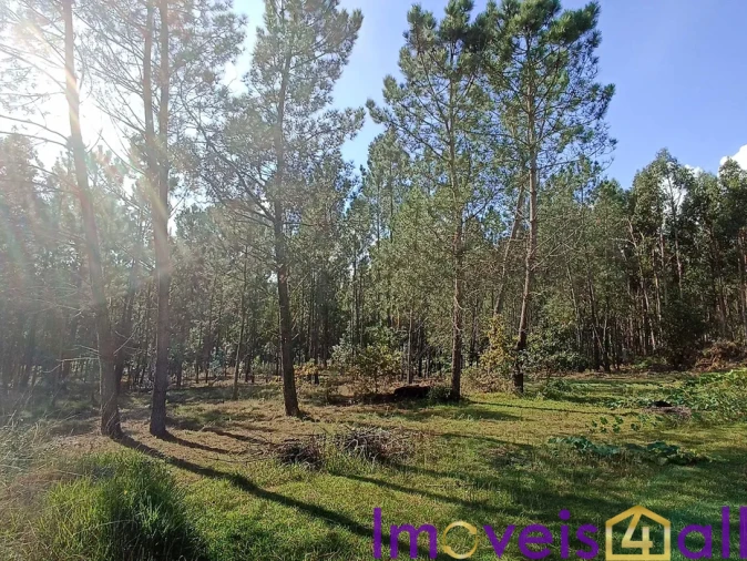 Terreno para Venda em Gandra e Taião