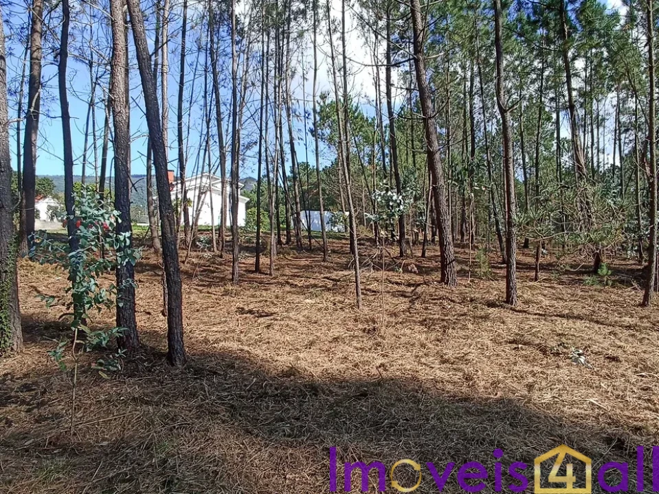 Terreno para Venda em Gandra e Taião Foto 2