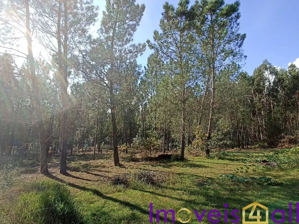 Terreno para Venda em Gandra e Taião Foto 1