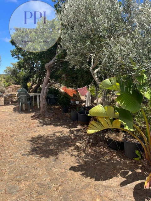 Moradia T3 para Venda em Bordeira