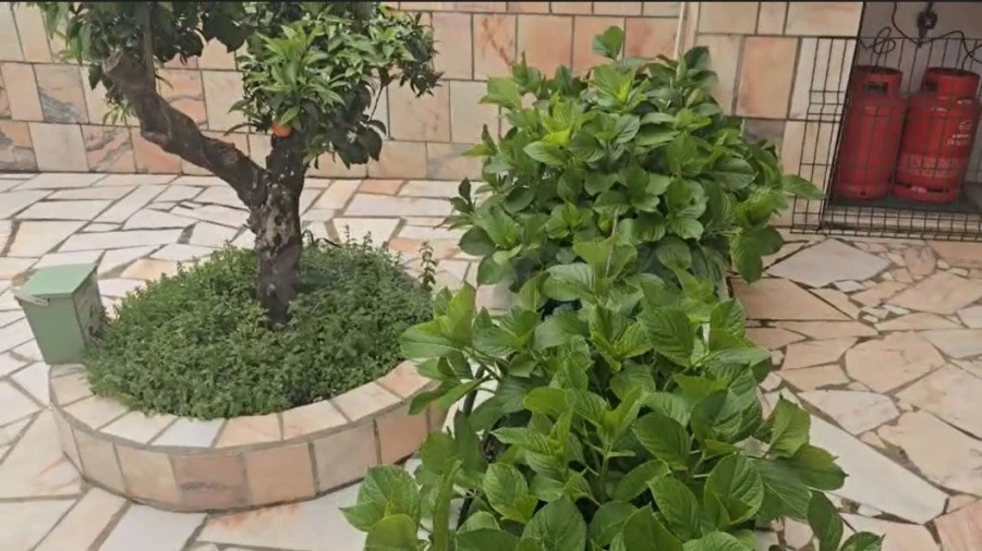 Moradia T4 para Arrendamento em Assunção, Ajuda, Salvador e Santo Ildefonso Foto 15