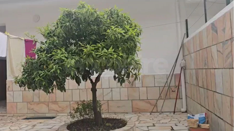 Moradia T4 para Arrendamento em Assunção, Ajuda, Salvador e Santo Ildefonso Foto 14