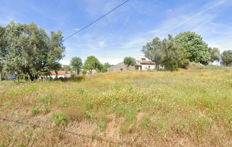Moradia T2 para Venda em Mouriscas Foto 3
