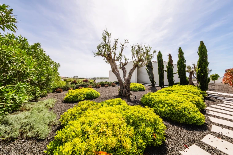 Moradia T3 para Venda em Atouguia da Baleia Foto 11