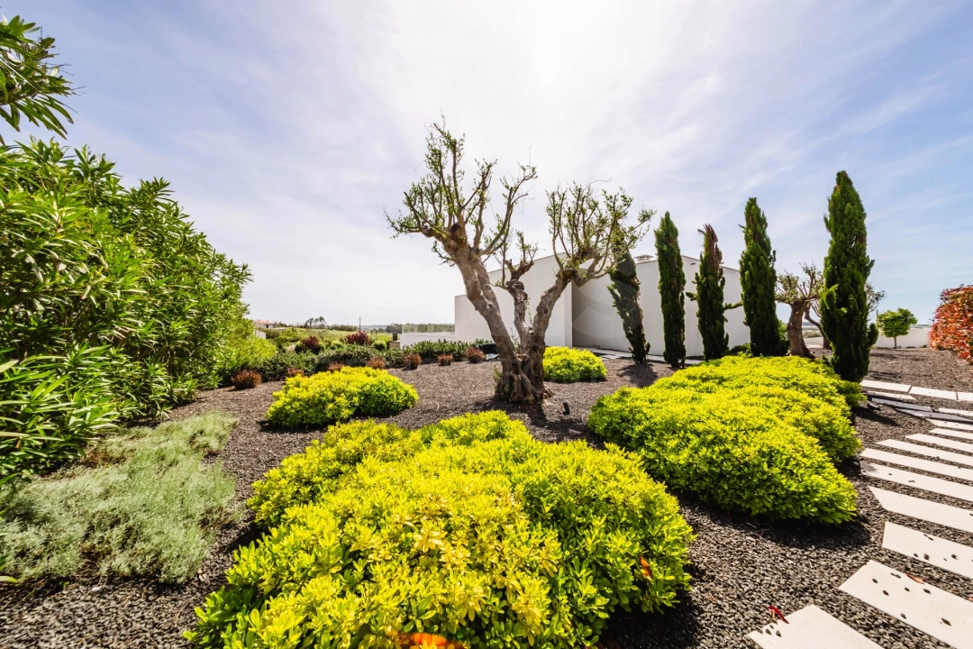 Moradia T3 para Venda em Atouguia da Baleia Foto 11