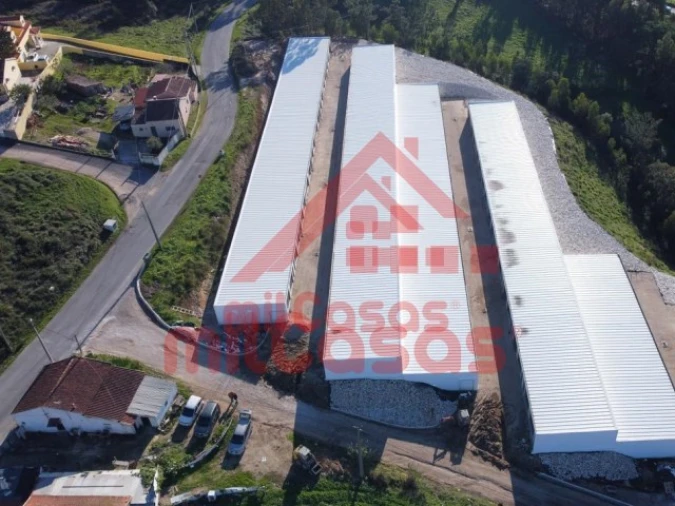 Garagem para Arrendamento em Santa Maria, São Pedro e Matacães Foto 8