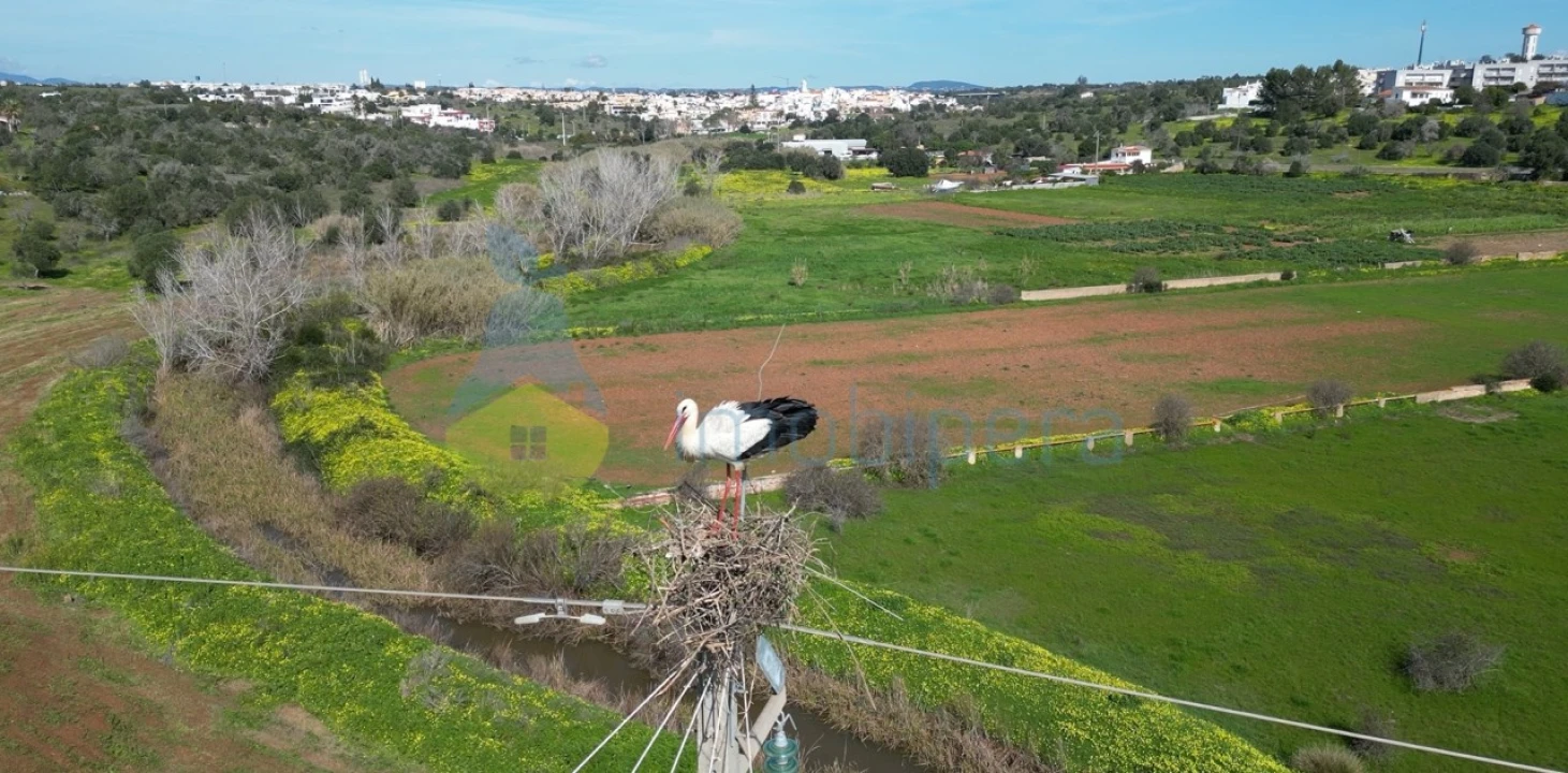 Armazém para Venda em Armação de Pera Foto 21