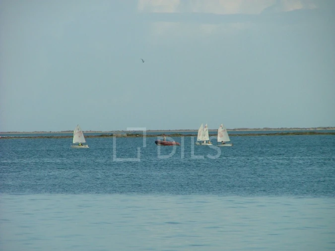 Moradia T4 para Venda em Montenegro Foto 14
