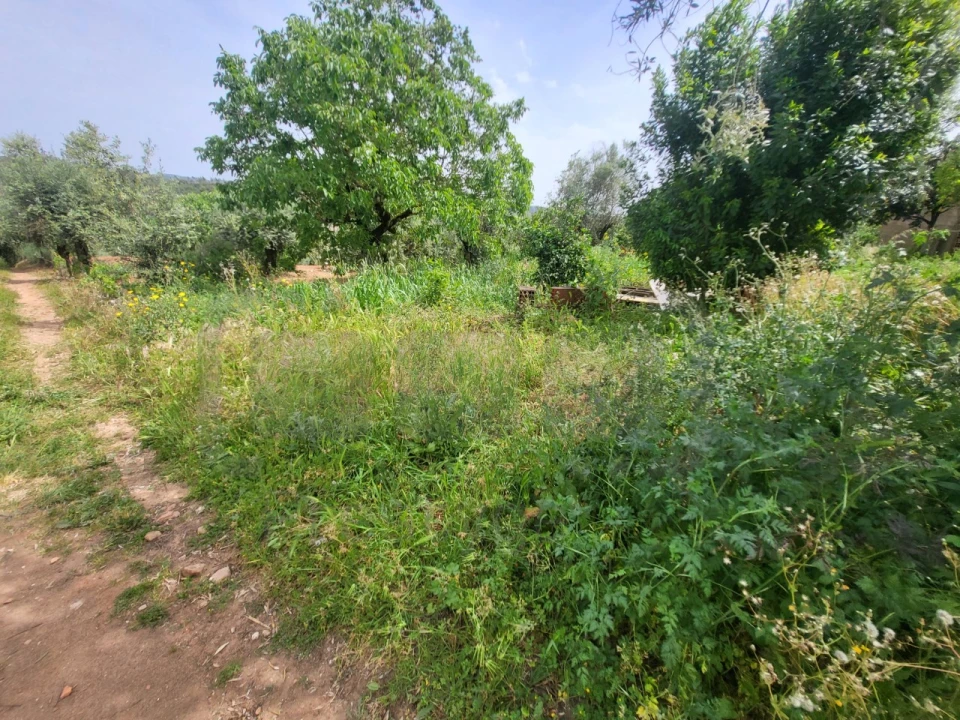 Moradia para Venda em Casais e Alviobeira Foto 7