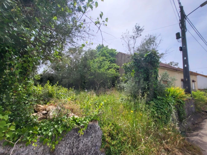 Moradia para Venda em Casais e Alviobeira Foto 3