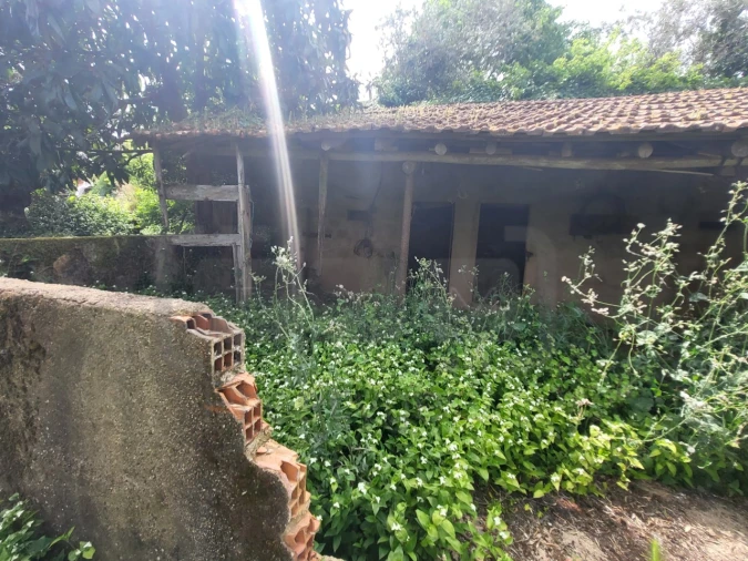 Moradia para Venda em Casais e Alviobeira Foto 4