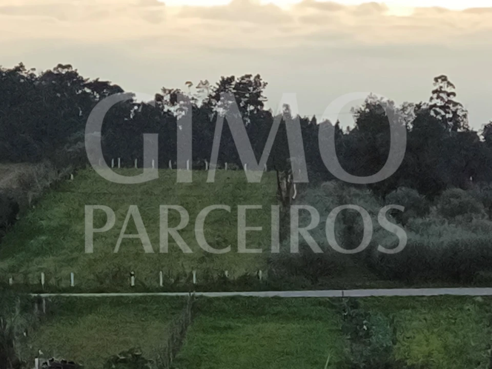 Terreno Agricola ou Rústico para Venda em Oliveira do Bairro Foto 1