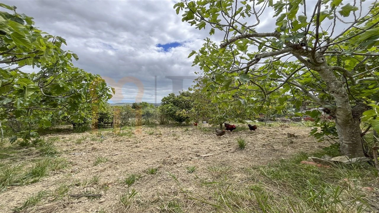 Quinta T5 para Venda em São Brás de Alportel Foto 32