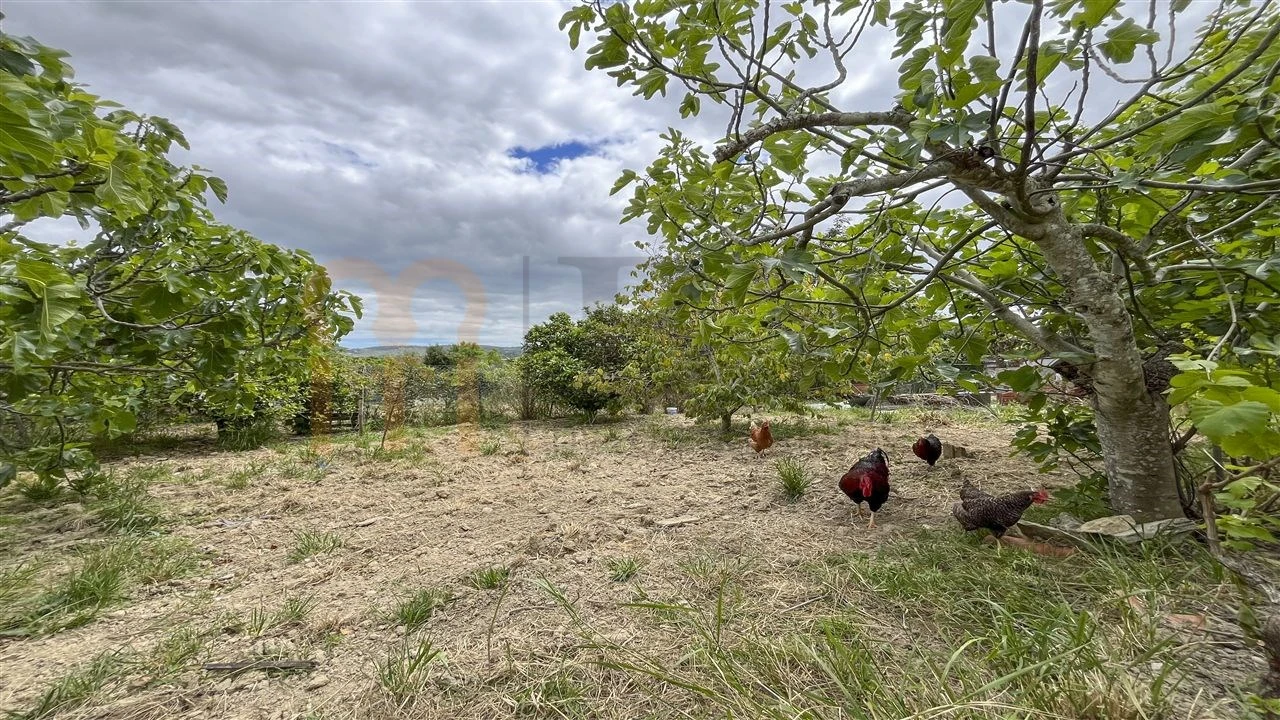 Quinta T5 para Venda em São Brás de Alportel Foto 33