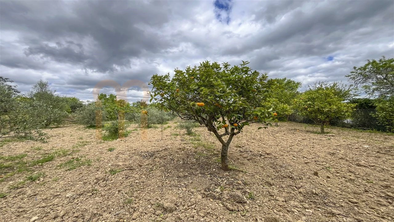 Quinta T5 para Venda em São Brás de Alportel Foto 35